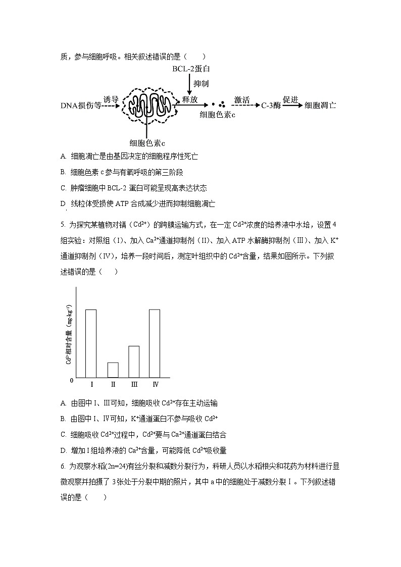 江苏省无锡市2025-2026学年高三上学期期中生物试题（学生版）第2页
