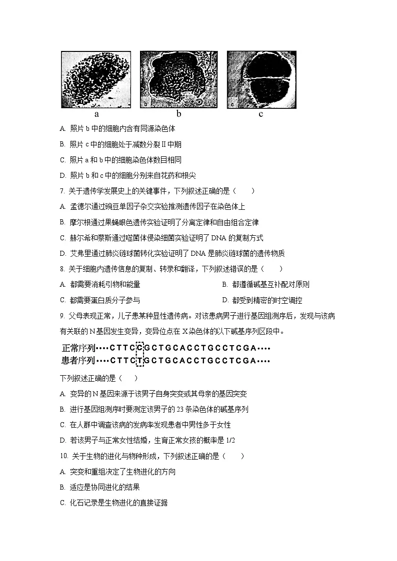 江苏省无锡市2025-2026学年高三上学期期中生物试题（学生版）第3页