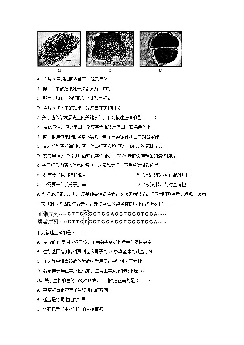 江苏省无锡市2025-2026学年高三上学期期中生物试题（学生版）第3页