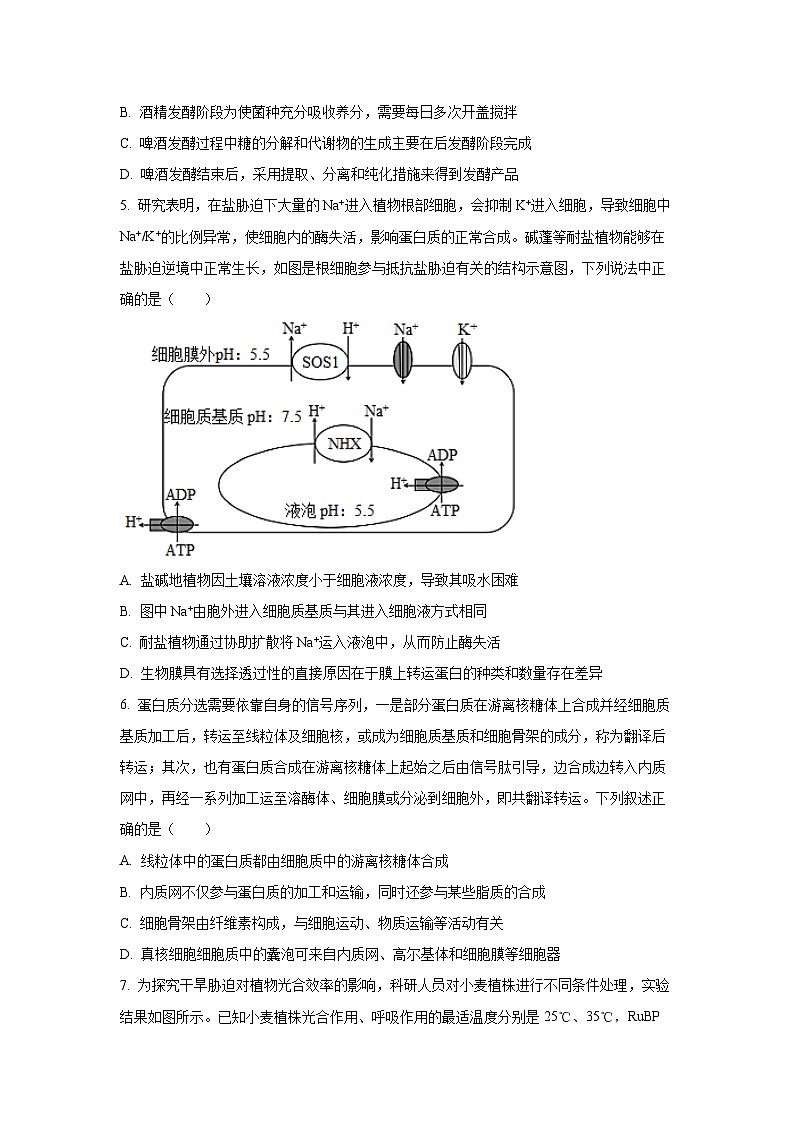 湖北省部分学校2025-2026学年高三上学期期中考试生物试卷（学生版）第2页