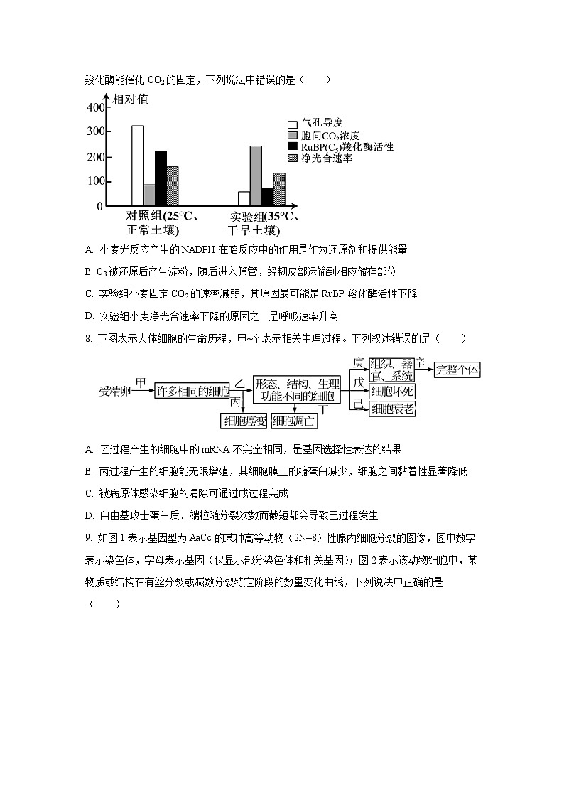 湖北省部分学校2025-2026学年高三上学期期中考试生物试卷（学生版）第3页