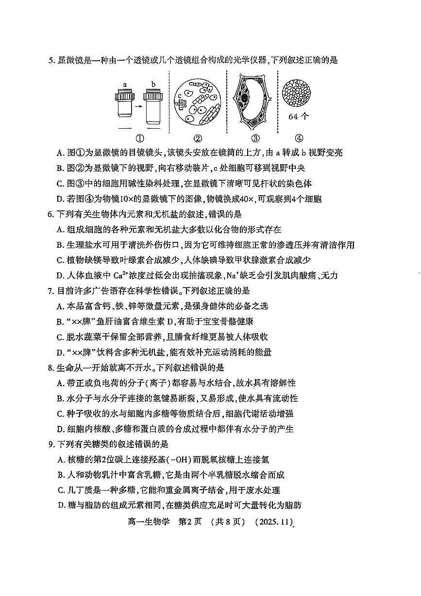 河南省洛阳市2025—2026学年第一学期11月期中考试高一生物试卷第2页