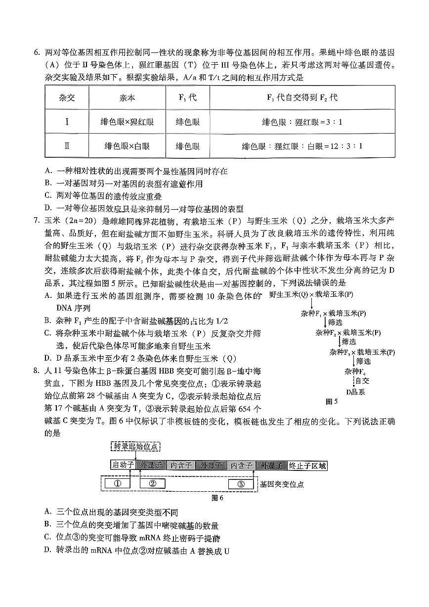 重庆市第八中学2026届高考适应性月考卷（三）生物第3页