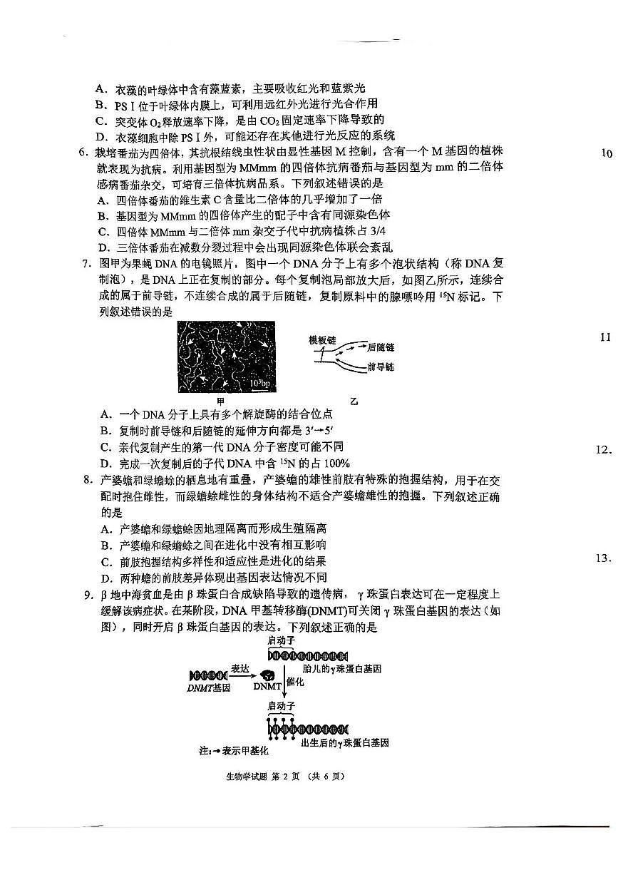四川省成都市蓉城名校联盟2026接高三上学期第一次联合诊断性考试生物试卷（含答案）第2页