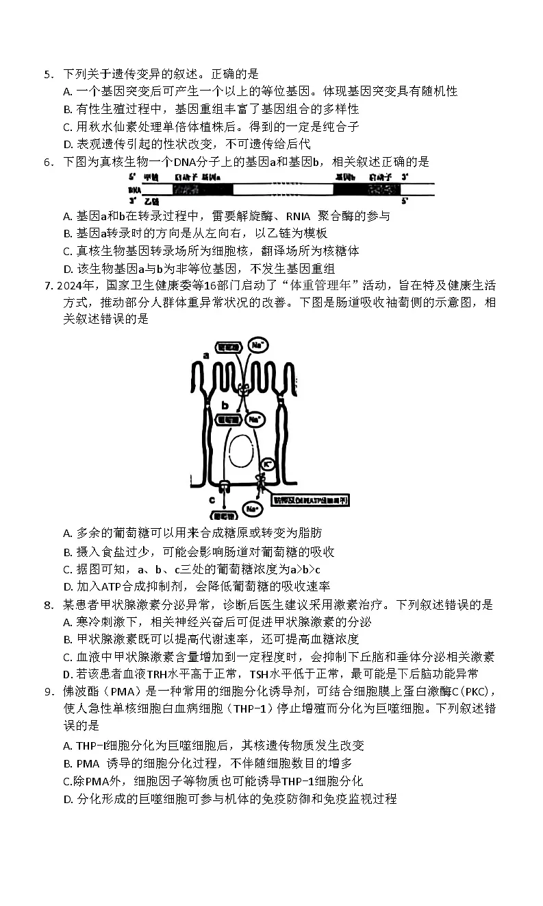 赤峰市2026届高三年级11·20模拟考试生物试题（含答案）第2页