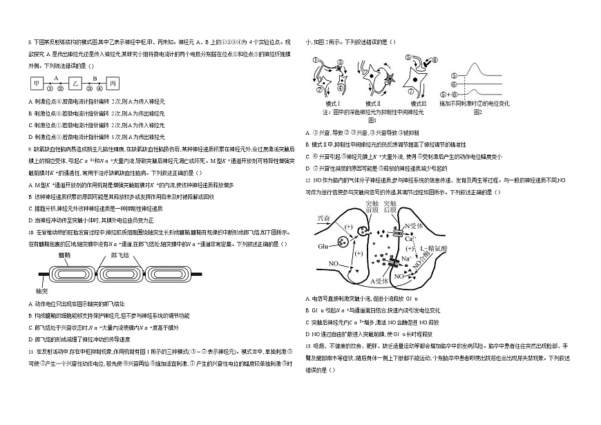 湖北省襄阳市第四中学2025-2026学年高二上学期11月期中考试生物试卷第2页