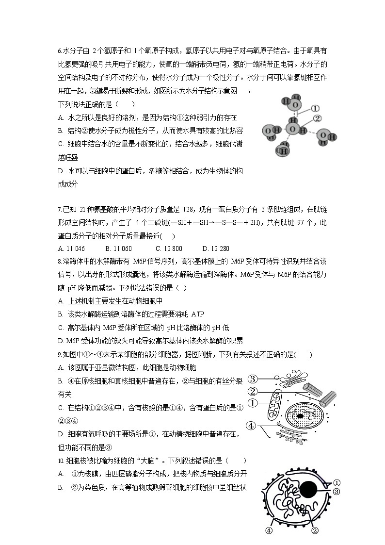 湖南省岳阳市平江县颐华高级中学2025-2026学年高一上学期11月期中考试生物试卷第2页