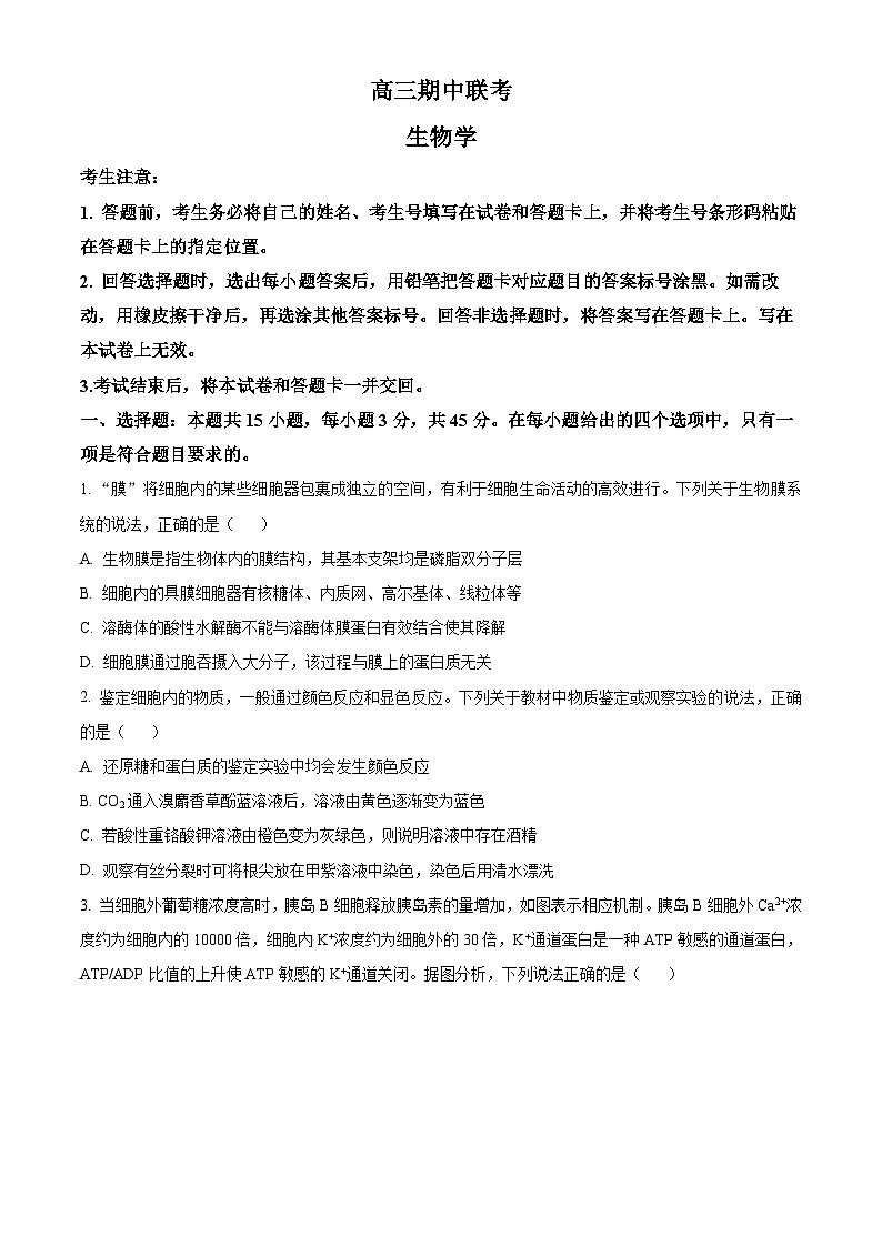 安徽省天一大联考2026届高三上学期11月期中联考生物试卷（原卷版）第1页