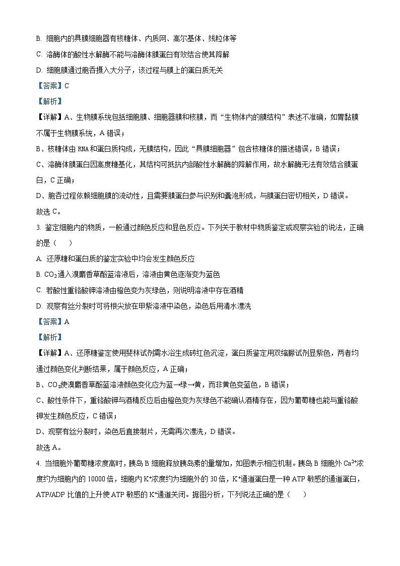 安徽省芜湖市2026届高三上学期期中联考生物试题 Word版含解析第2页