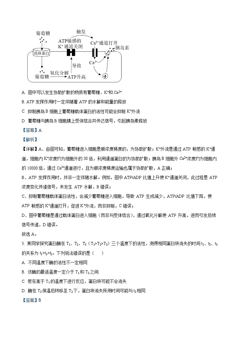 安徽省芜湖市2026届高三上学期期中联考生物试题 Word版含解析第3页