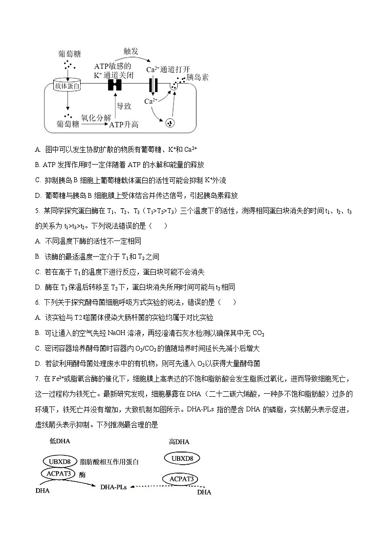 安徽省芜湖市2026届高三上学期期中联考生物试题（原卷版）第2页