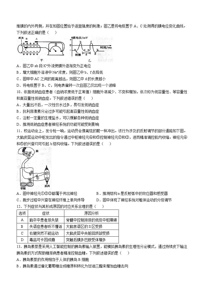 湖北省八校联考2025-2026学年高二上学期11月期中生物试题（Word版附答案）第3页
