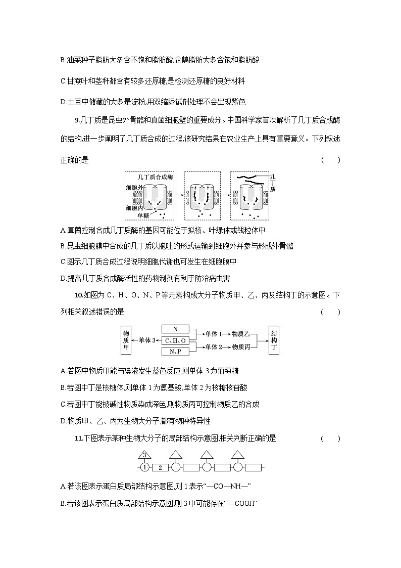湖北省部分高中联考2025-2026学年高一上学期11月期中生物试题第3页