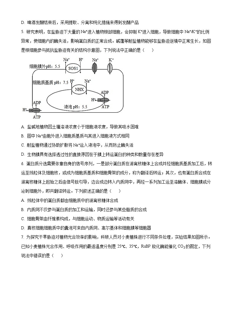 湖北省部分学校2025-2026学年高三上学期期中考试生物试题（原卷版）第2页