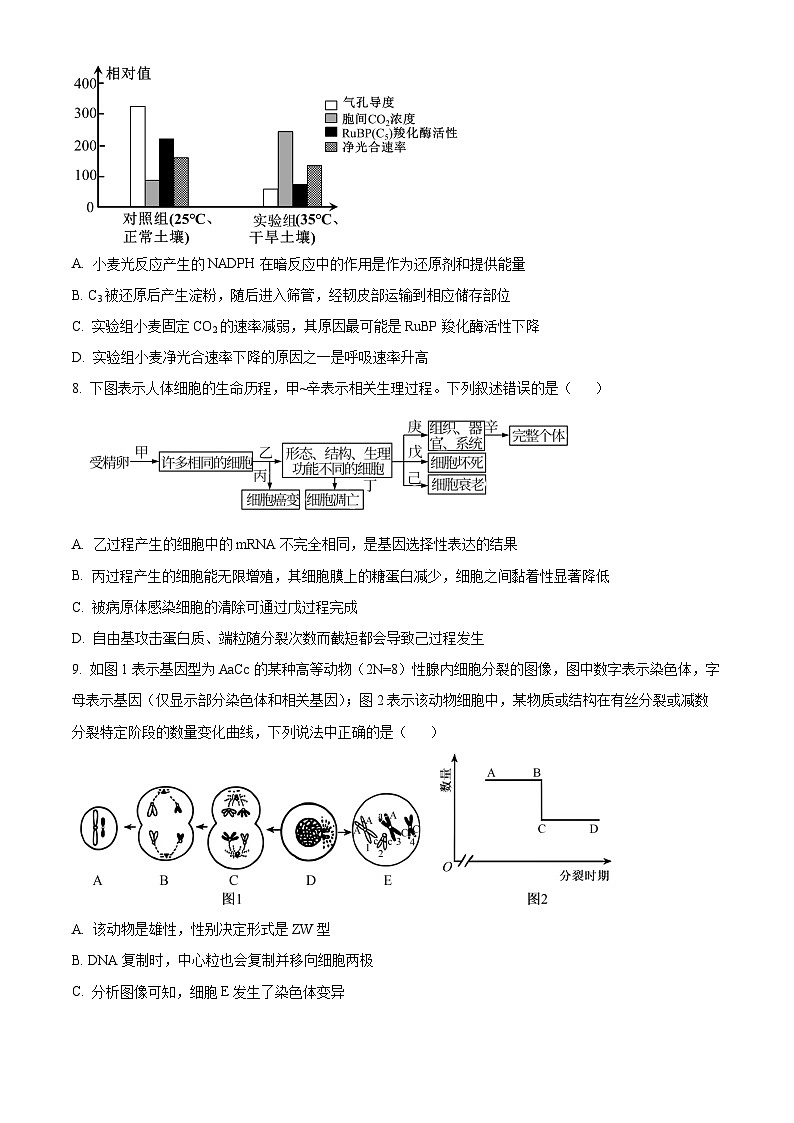 湖北省部分学校2025-2026学年高三上学期期中考试生物试题（原卷版）第3页
