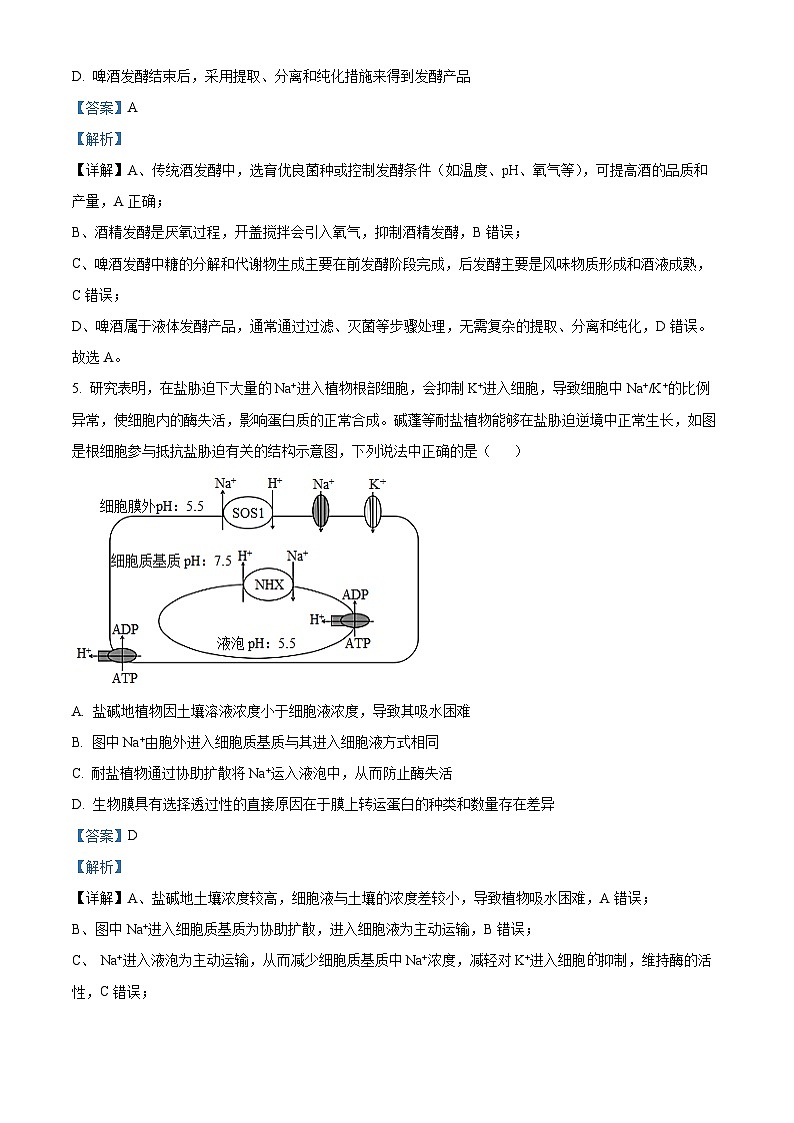 湖北省部分学校2025-2026学年高三上学期期中考试生物试题 Word版含解析第3页