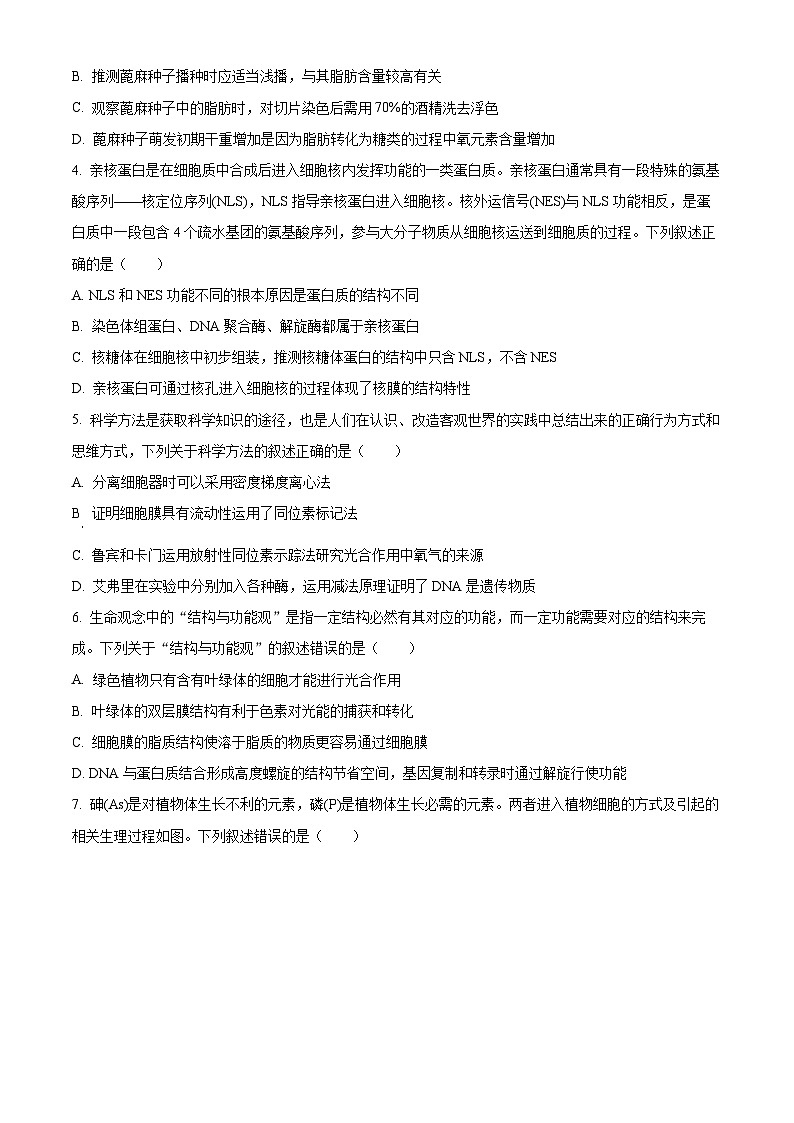 湖北省部分重点中学2025-2026学年高三期中考试生物试卷（原卷版）第2页