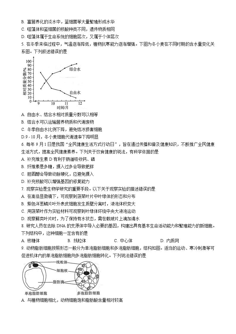 湖北省武汉市部分学校2025-2026学年高一上学期11月期中考试生物试题（Word版附答案）第2页