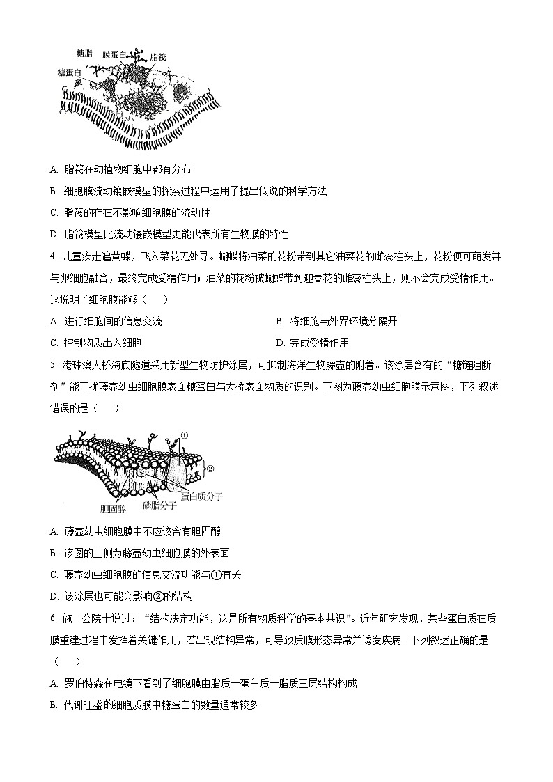 湖南省多校联考2025-2026学年高一上学期11月期中考试生物试题（原卷版）第2页
