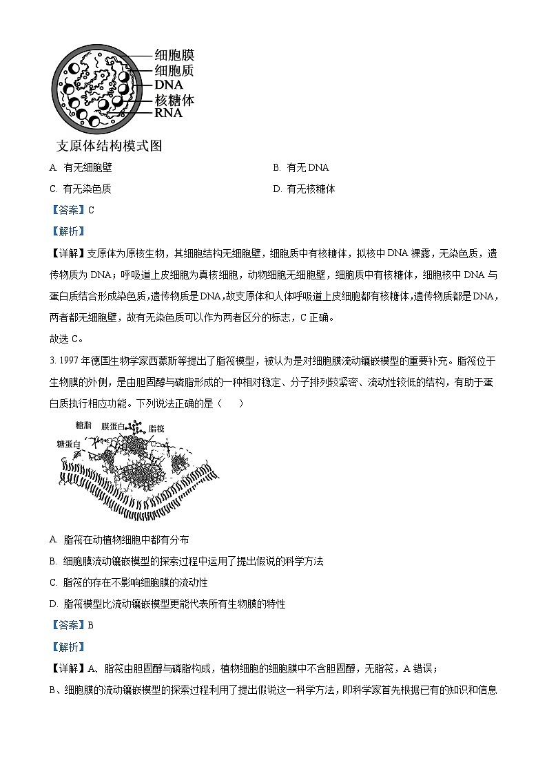 湖南省多校联考2025-2026学年高一上学期11月期中考试生物试题 Word版含解析第2页