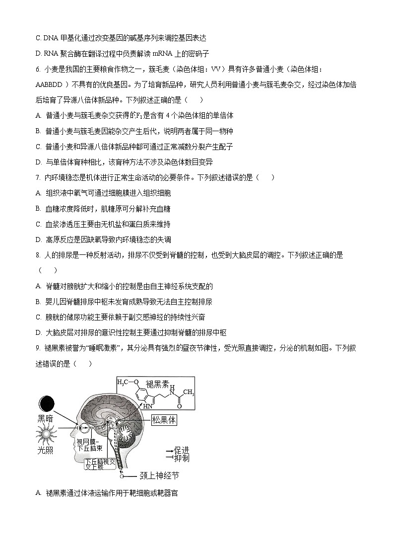 湖南省名校联考联合体2025-2026学年高二上学期期中考试生物试题（原卷版）第2页