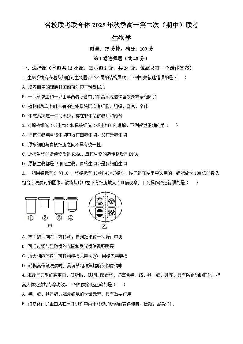 湖南省名校联考联合体2025-2026学年高一上学期期中考试生物试题（原卷版）第1页