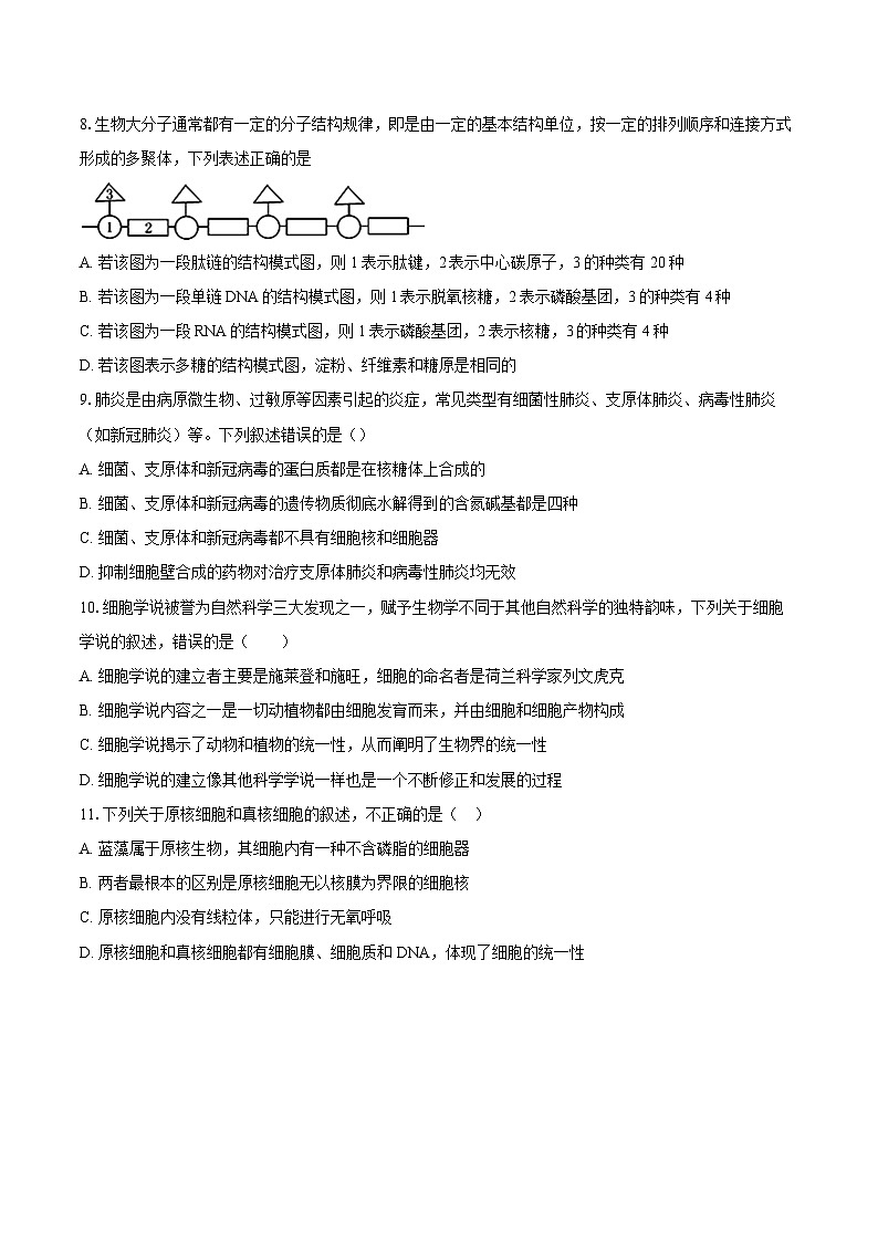 湖南省长沙市岳麓区湖南大学附属中学2025-2026学年高一上学期11月期中生物试题第3页