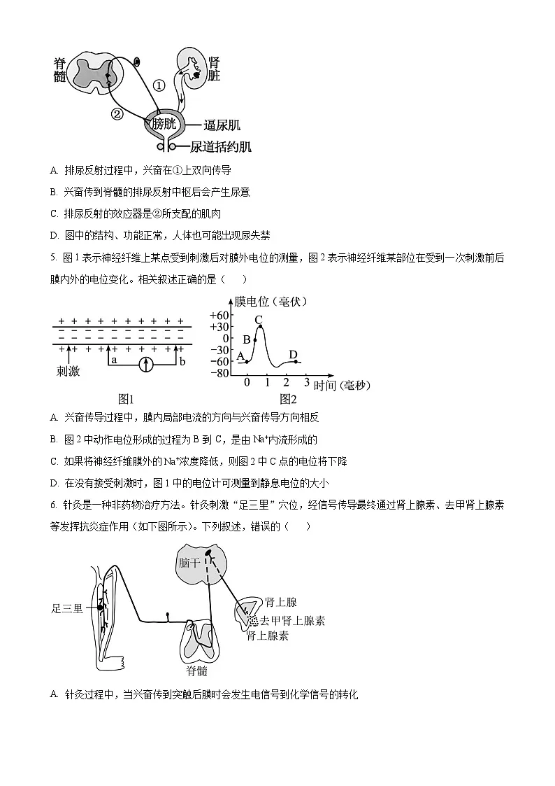 湖南省长沙市明德中学2025-2026学年高二上学期期中考试生物试题（原卷版）第2页