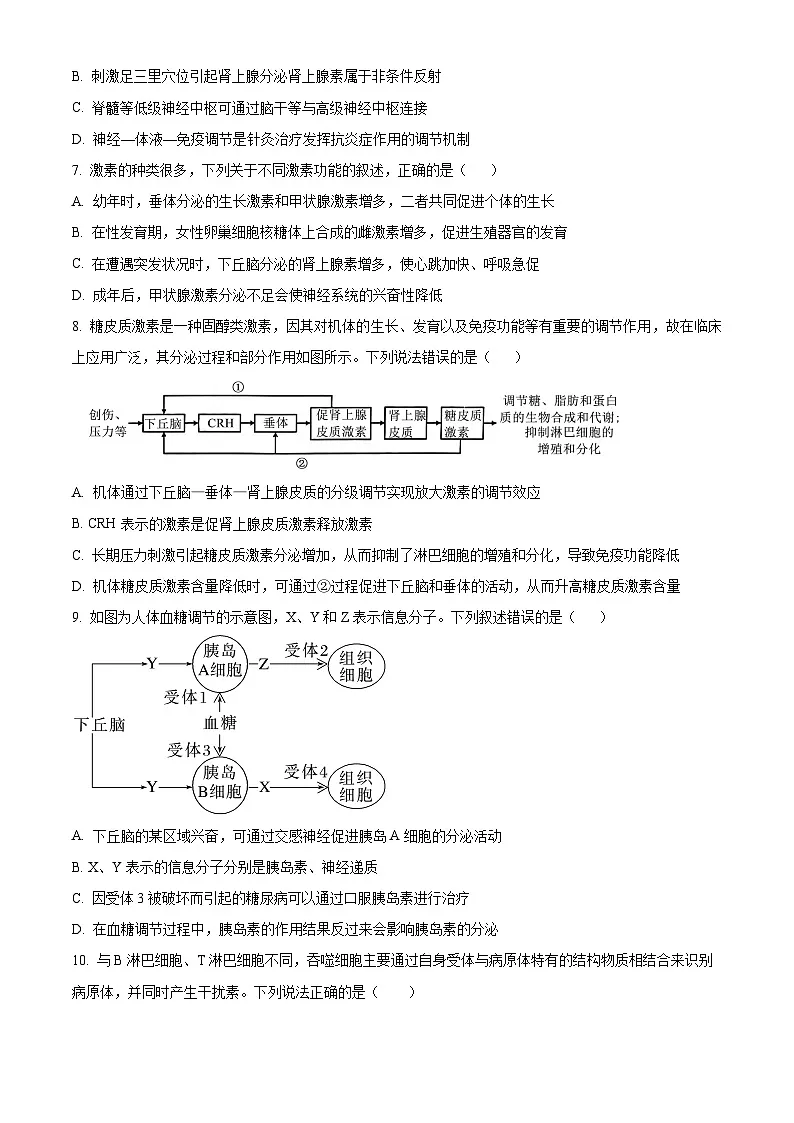 湖南省长沙市明德中学2025-2026学年高二上学期期中考试生物试题（原卷版）第3页