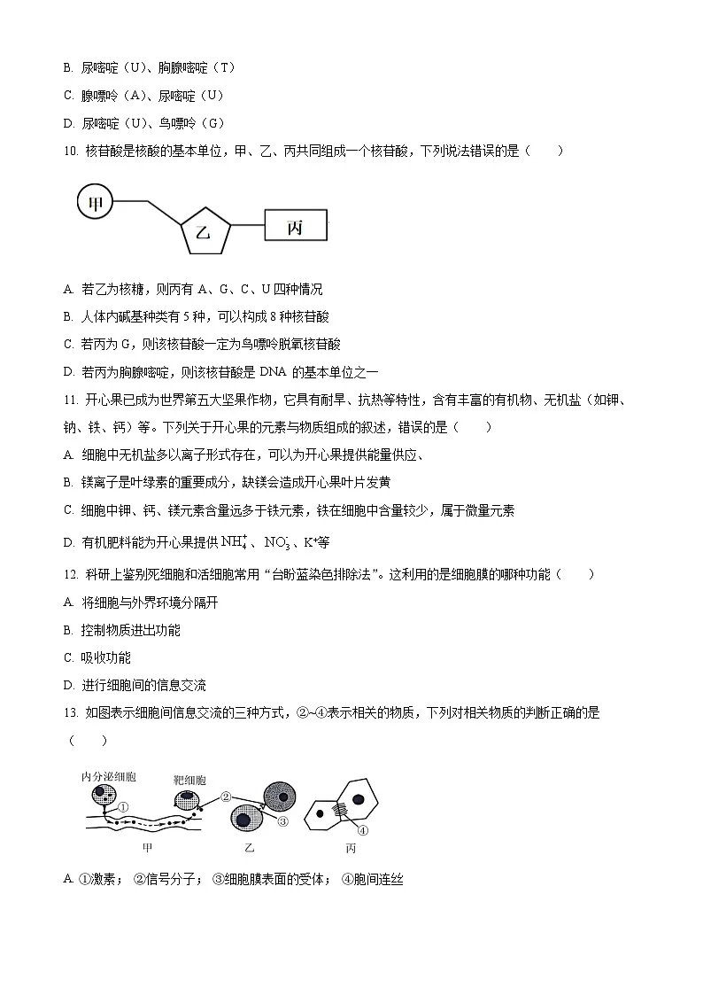 湖南省长沙市明德中学2025-2026学年高一上学期11月期中生物试题（原卷版）第3页