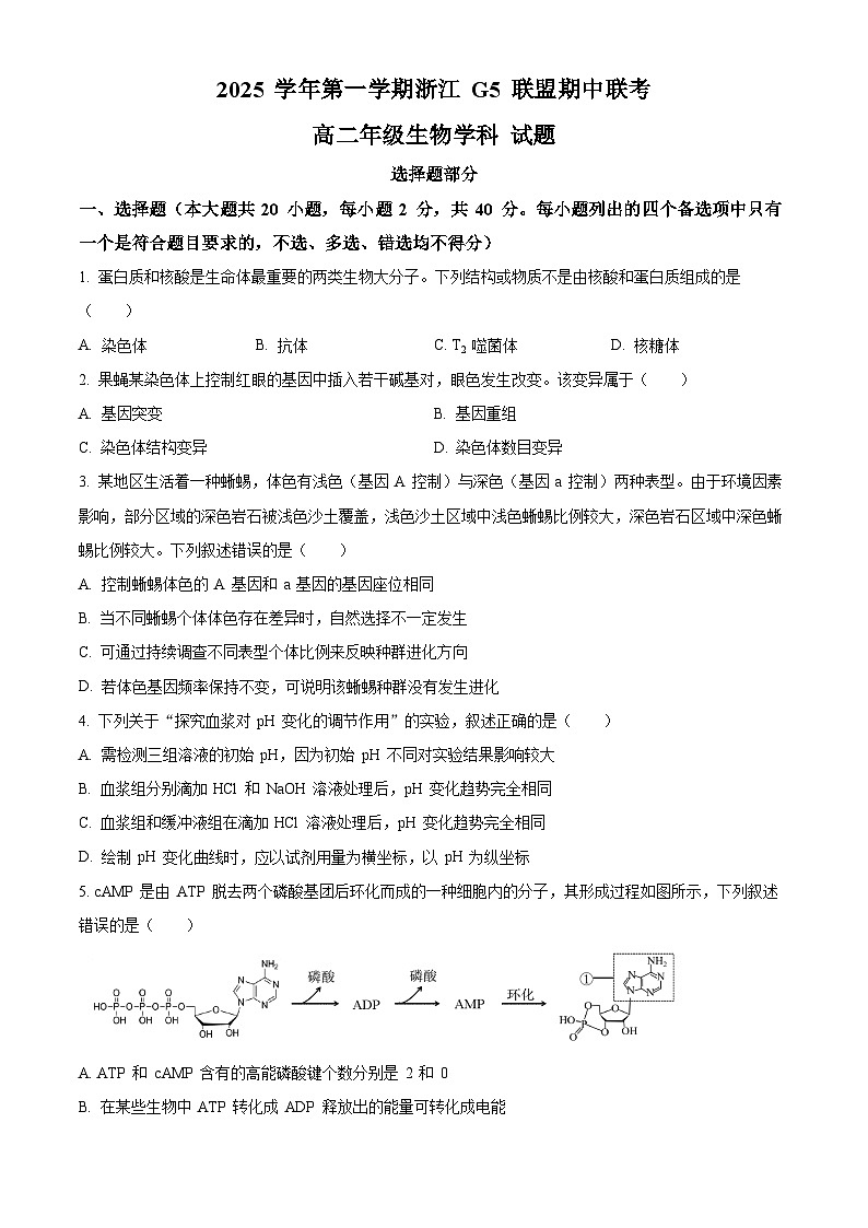 浙江省G5联盟2025-2026学年高二上学期11月期中考试生物试题（原卷版）第1页