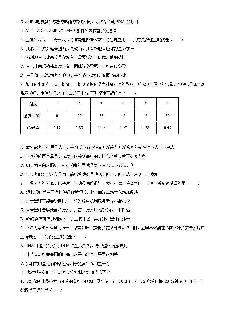 浙江省G5联盟2025-2026学年高二上学期11月期中考试生物试题（原卷版）第2页