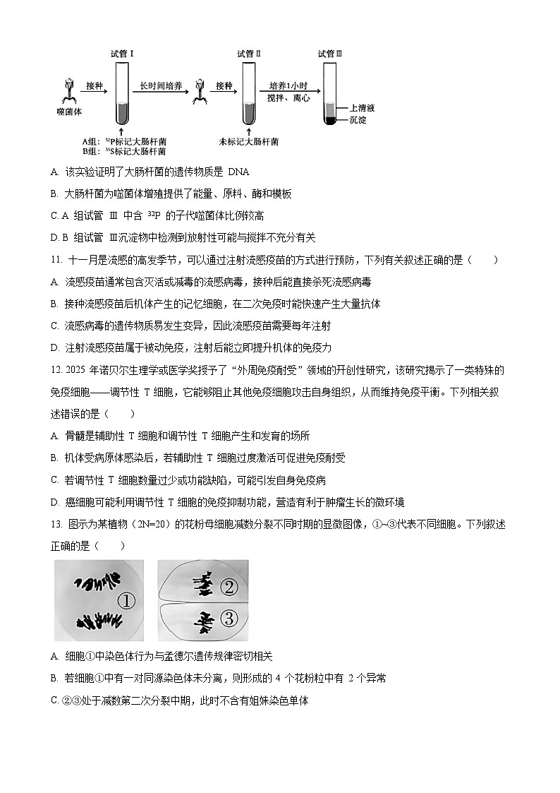 浙江省G5联盟2025-2026学年高二上学期11月期中考试生物试题（原卷版）第3页
