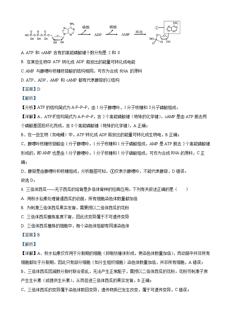 浙江省G5联盟2025-2026学年高二上学期11月期中考试生物试题 Word版含解析第3页