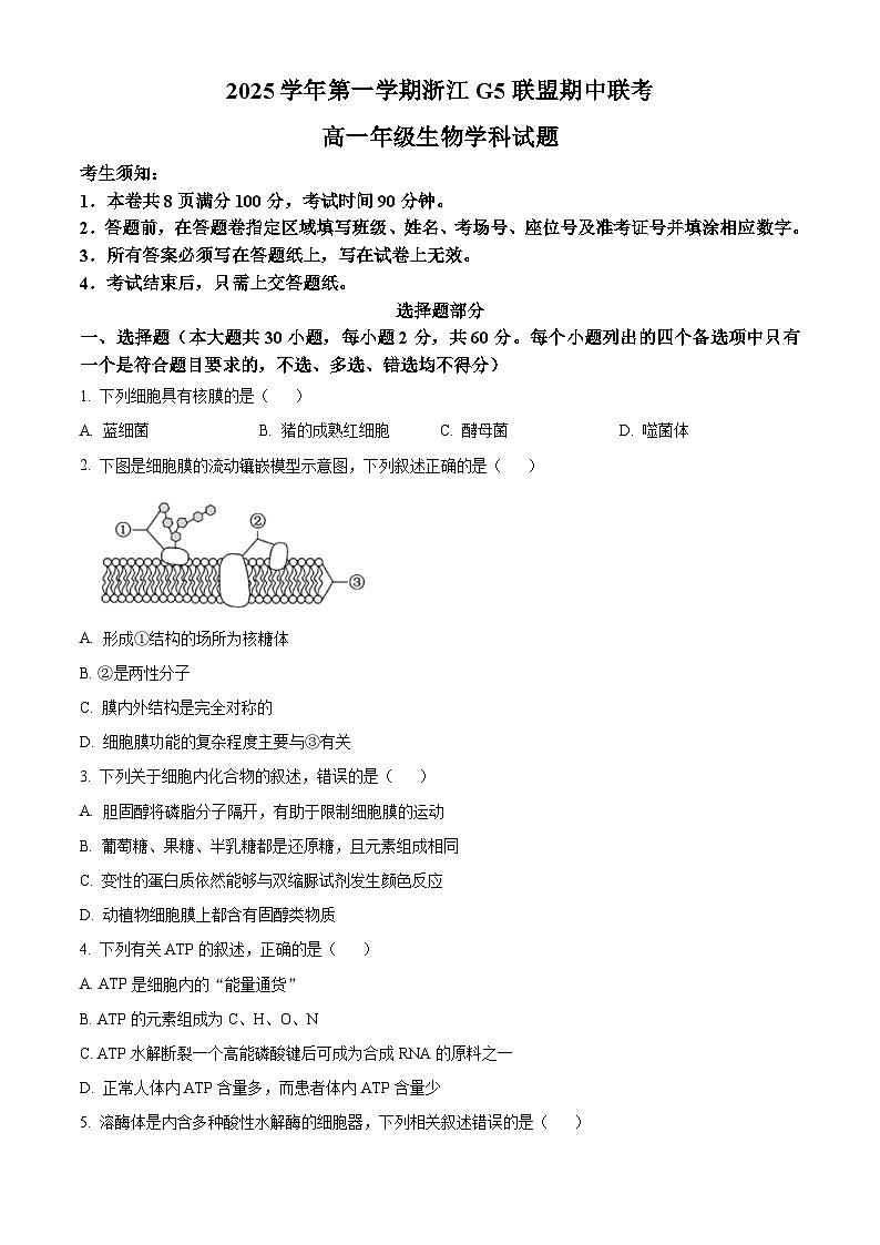 浙江省G5联盟2025-2026学年高一上学期11月期中联考生物试题（原卷版）第1页