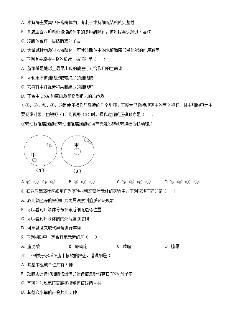浙江省G5联盟2025-2026学年高一上学期11月期中联考生物试题（原卷版）第2页