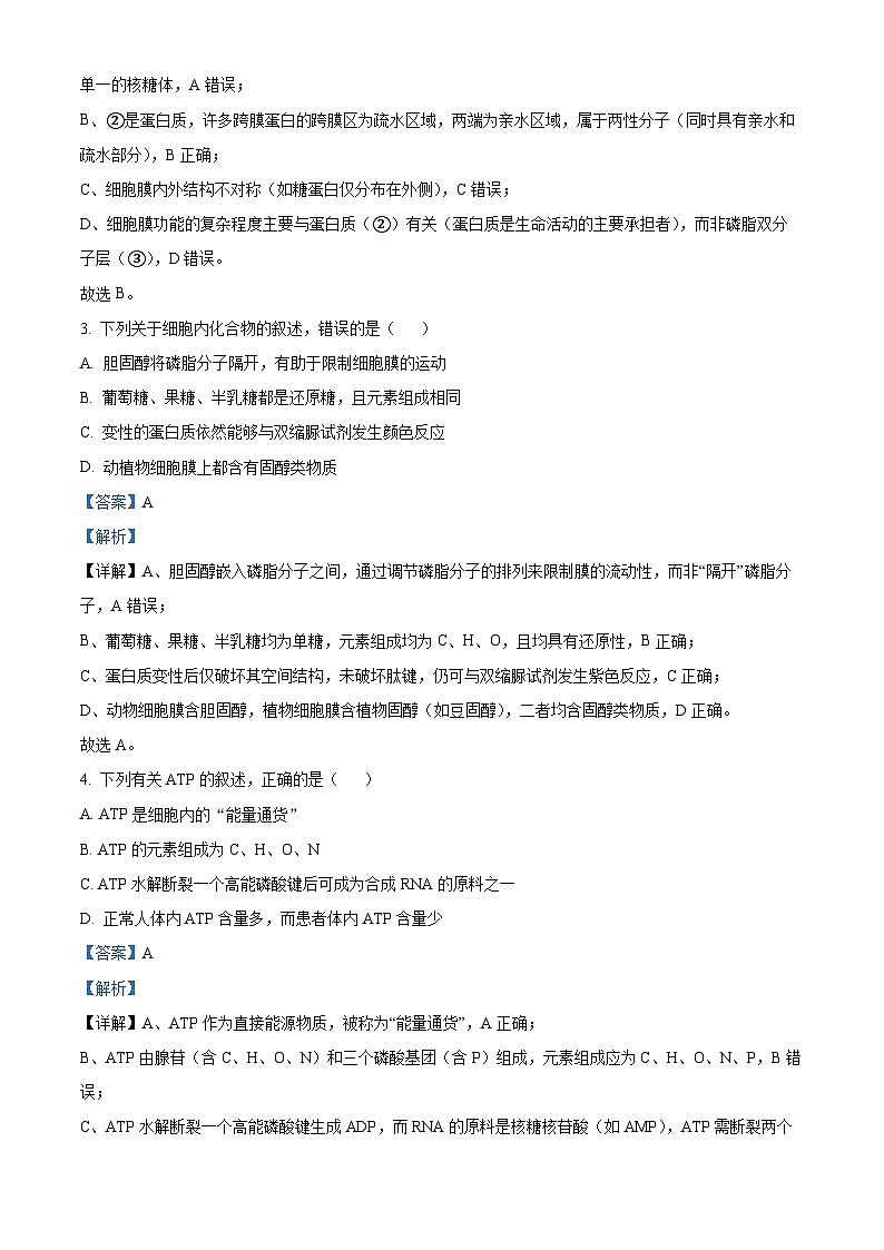 浙江省G5联盟2025-2026学年高一上学期11月期中联考生物试题 Word版含解析第2页
