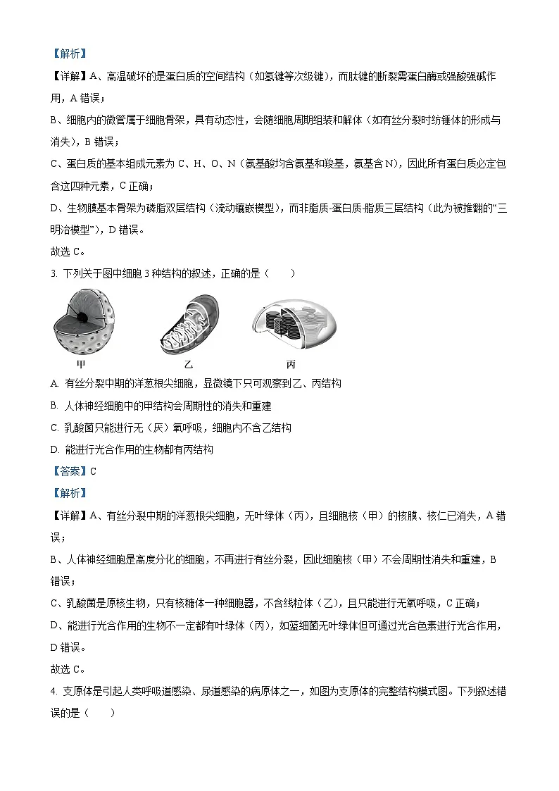 浙江省环大罗山联盟2025-2026学年高二上学期11月期中生物试题 Word版含解析第2页