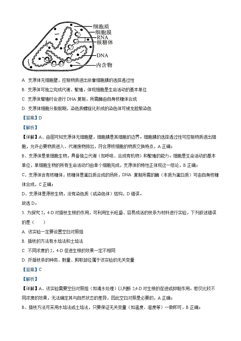 浙江省环大罗山联盟2025-2026学年高二上学期11月期中生物试题 Word版含解析第3页