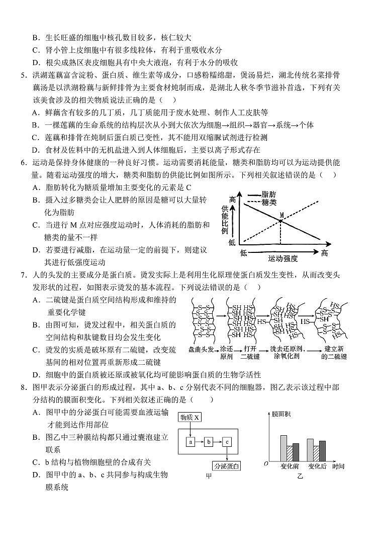 生物-湖北省荆州市沙市中学2025-2026学年高一上学期11月期中试题及答案第2页