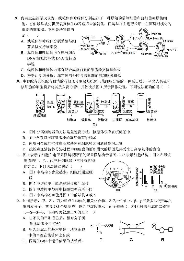 生物-湖北省荆州市沙市中学2025-2026学年高一上学期11月期中试题及答案第3页