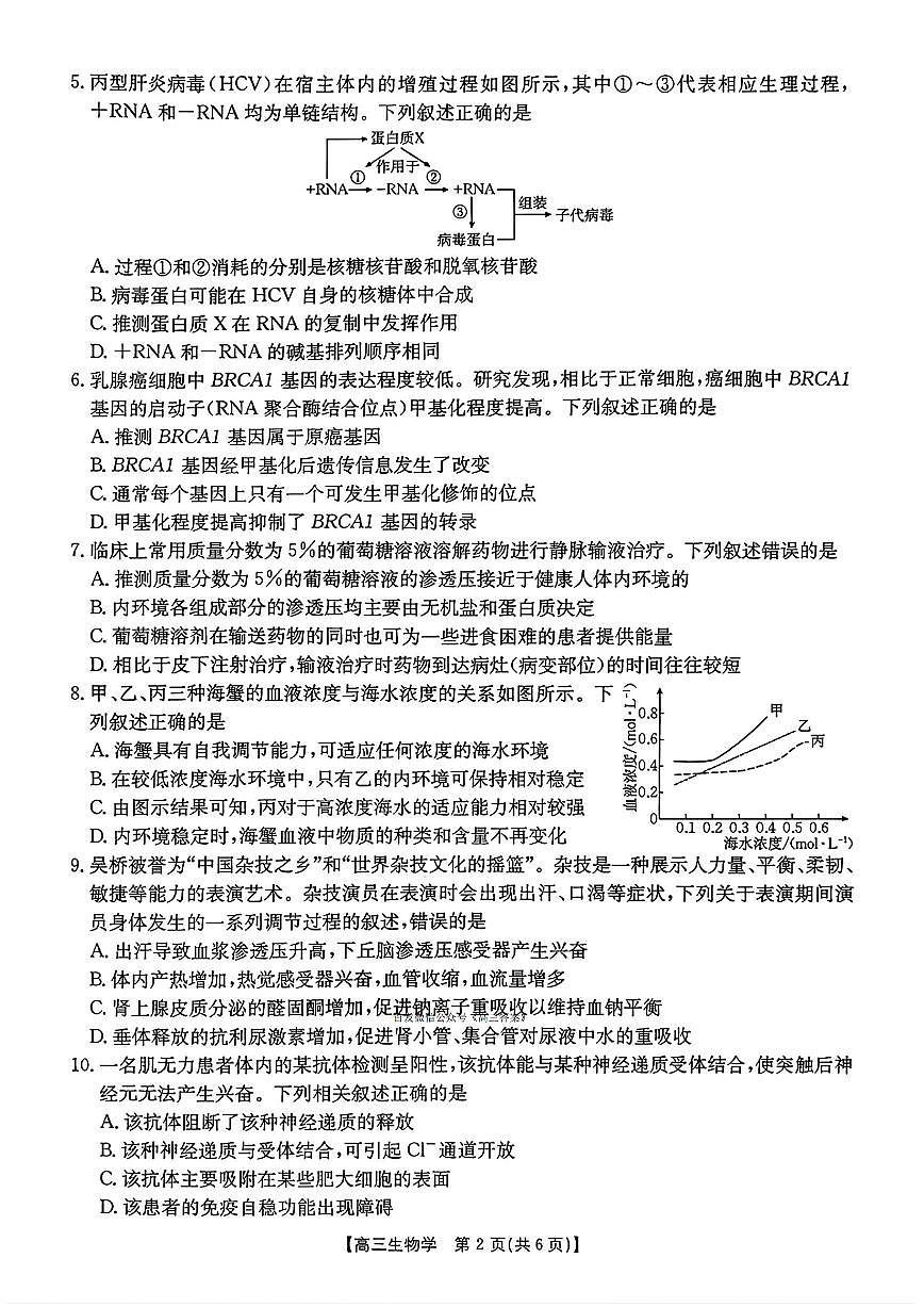 2025年河北太阳高三上学期11月期中生物试题及答案第2页