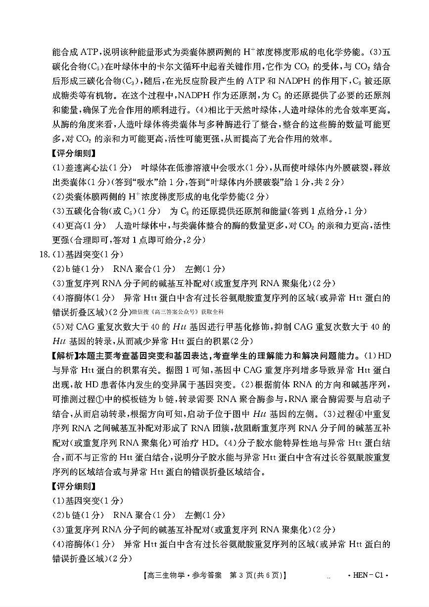 生物答案第3页