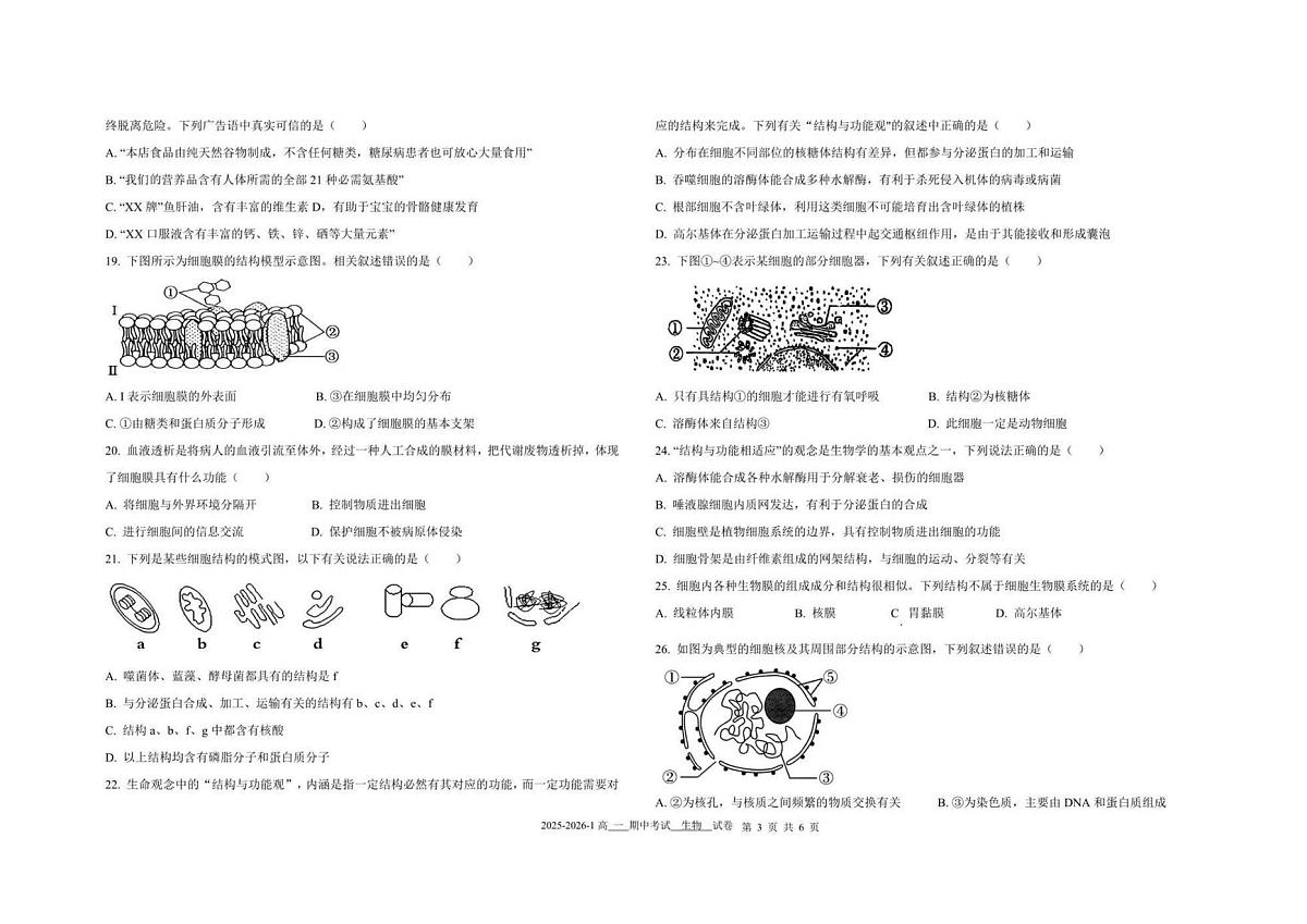 新疆维吾尔自治区克拉玛依市高级中学2025-2026学年高一上学期期中考试生物试题第3页