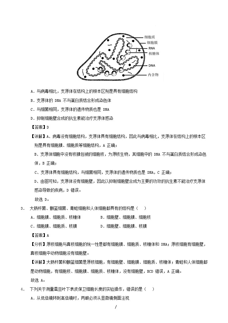 四川省2025_2026学年高一生物上学期第一次月考含解析第2页