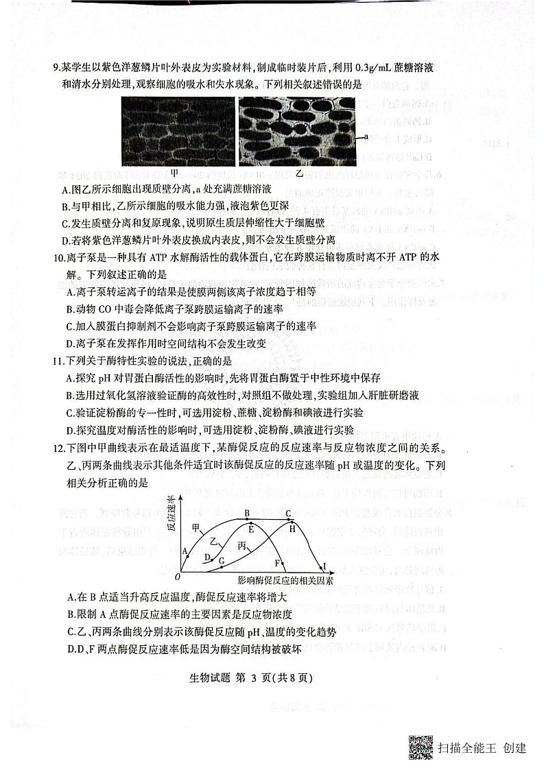 山东省临沂市2024-2025学年高一上学期期末考试生物试题第3页