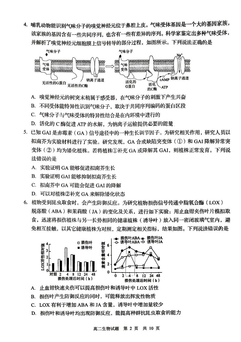 山东省青岛市2024-2025学年高二上学期1月期末生物试题第2页