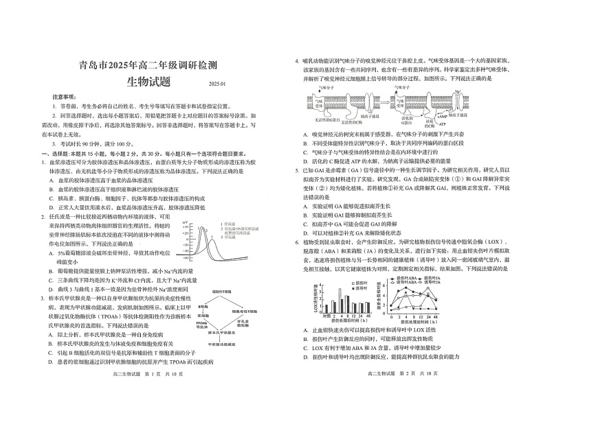 山东省青岛市四区联考2024-2025学高二上学期期末生物试题第1页