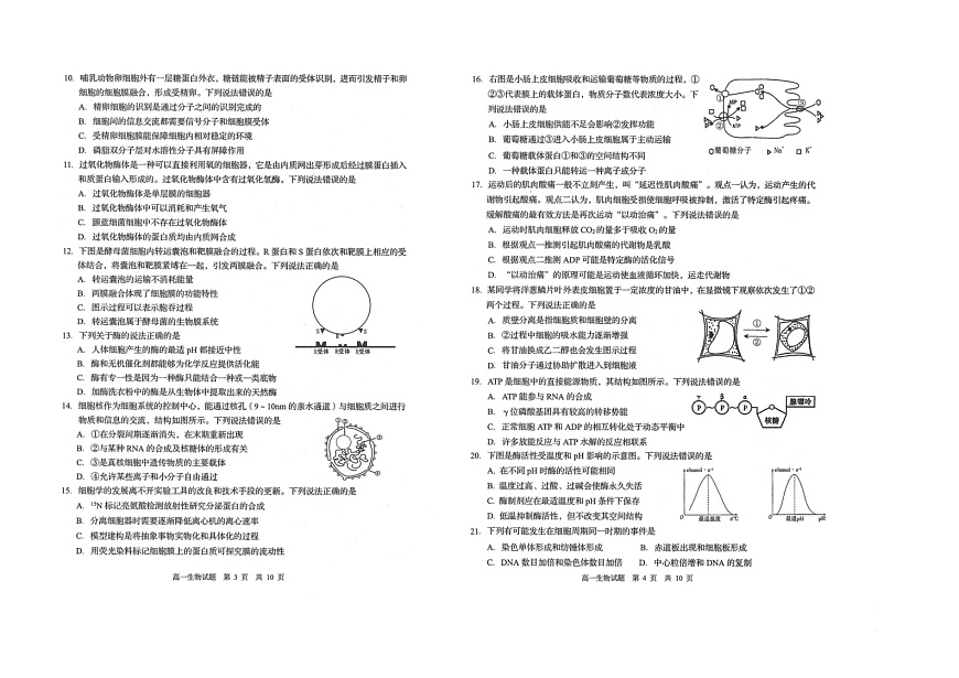 山东省青岛市四区2024-2025学年2024-2025学年高一上学期期末生物试题第2页