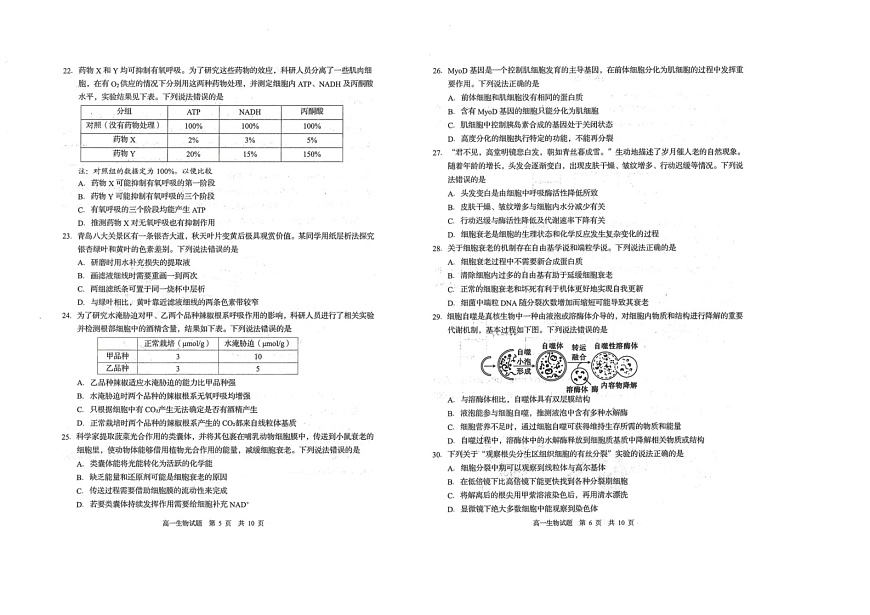 山东省青岛市四区2024-2025学年2024-2025学年高一上学期期末生物试题第3页
